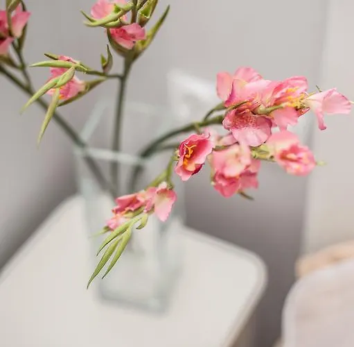 아파트 Sea-house 코워브제크